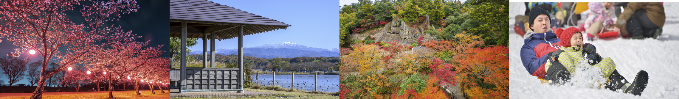小松の四季の写真